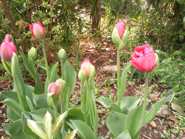 f0127441_2075336.jpg