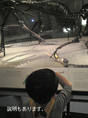c0029744_1312299.jpg