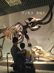 c0029744_13124233.jpg