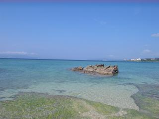 d0047944_2238195.jpg