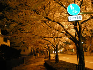 d0035245_1338511.jpg