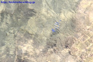 f0039446_1639385.jpg
