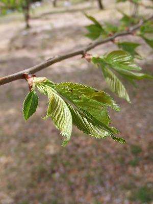 f0068649_03037100.jpg