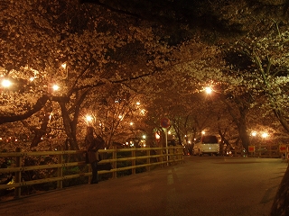 f0056153_10264952.jpg
