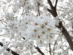 c0047860_18564771.jpg