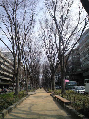 c0050264_1294367.jpg