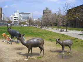 c0149475_2329295.gif
