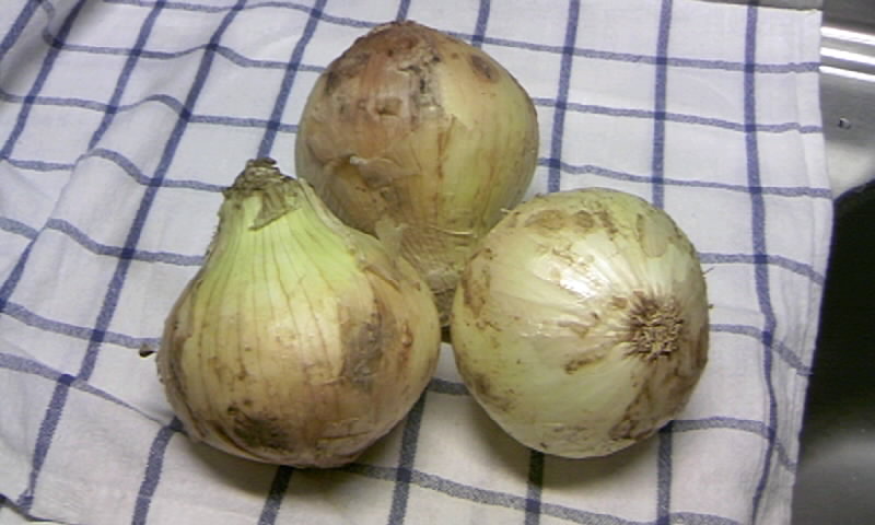 c0126976_234450100.jpg