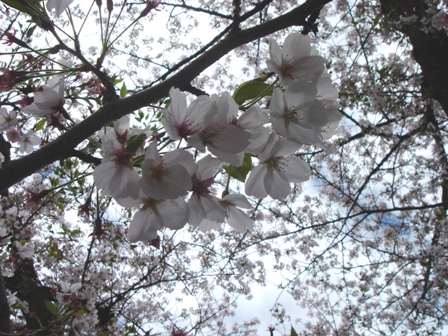 c0135480_015248.jpg