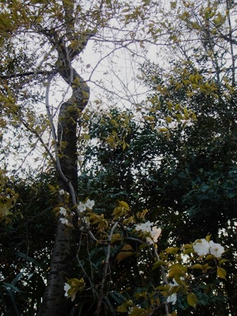 c0135480_019986.jpg