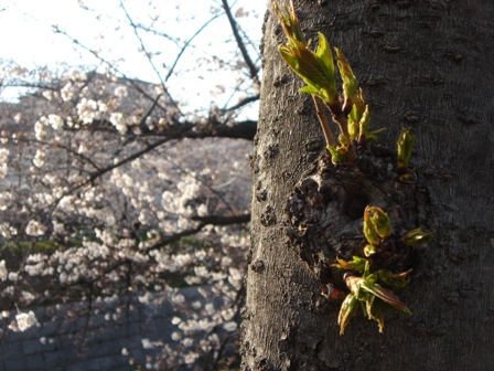 c0135480_0265167.jpg