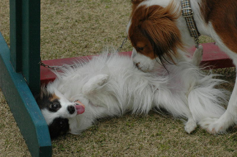 c0075585_011452.jpg