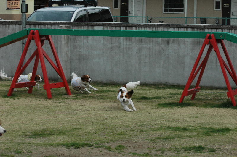 c0075585_0122421.jpg