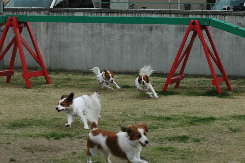 c0075585_0145342.jpg