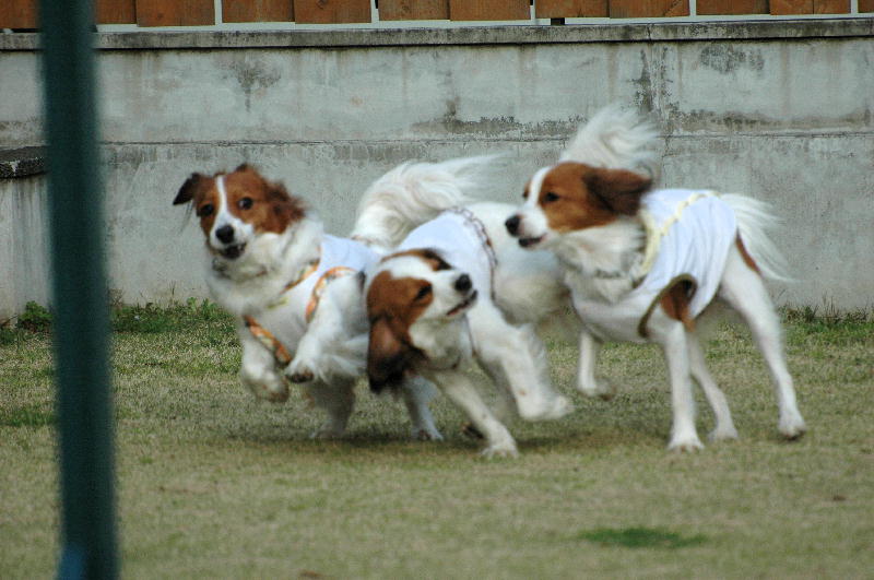 c0075585_0154490.jpg