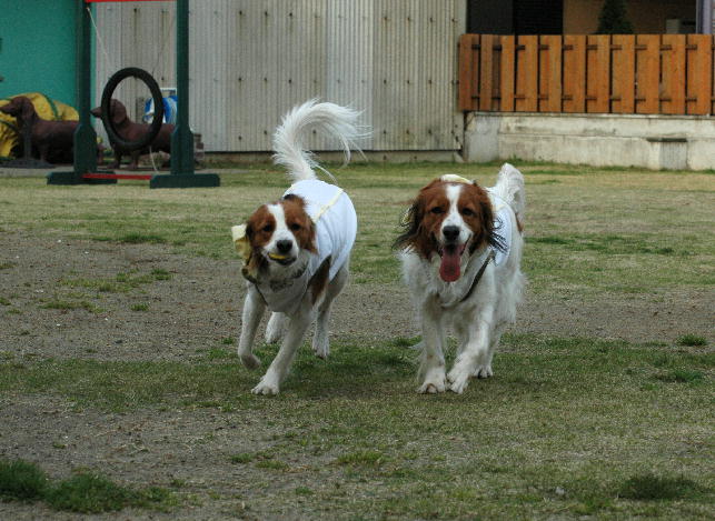 c0075585_018442.jpg