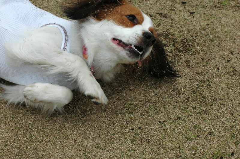 c0075585_019576.jpg