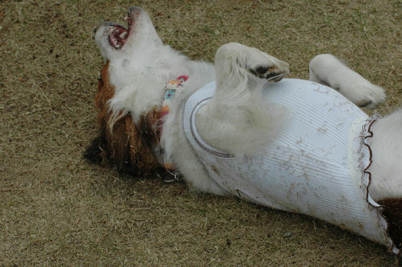 c0075585_022924.jpg
