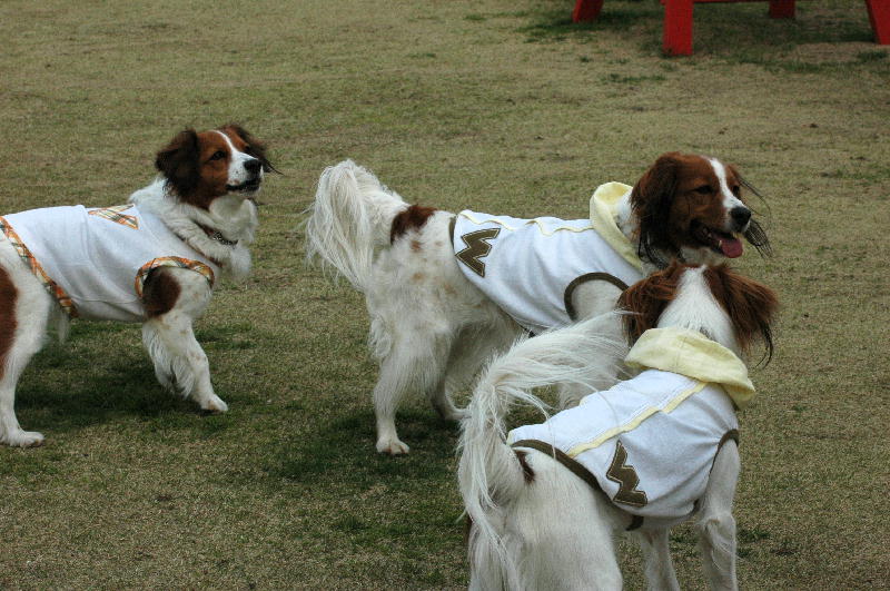 c0075585_0374550.jpg