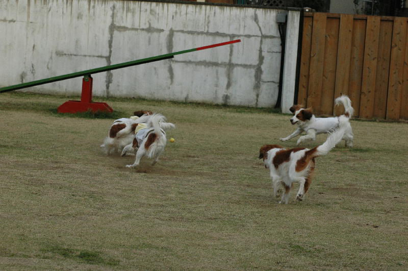 c0075585_0383318.jpg