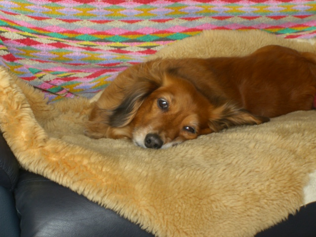 d0067192_2010674.jpg