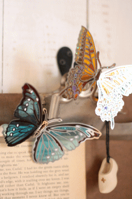 d0100192_19123376.gif
