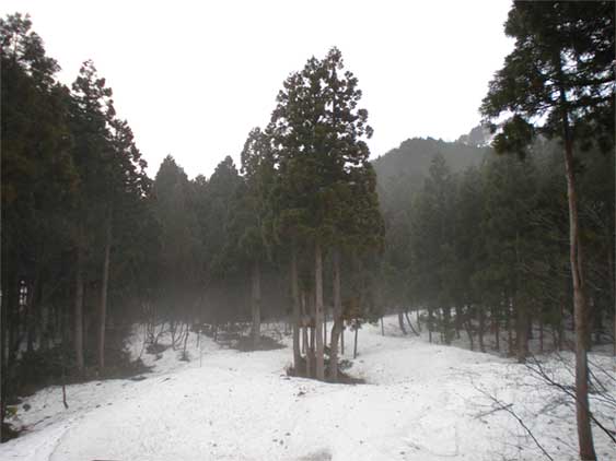 a0061599_723116.jpg