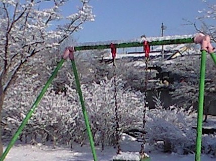 b0083902_23383566.jpg