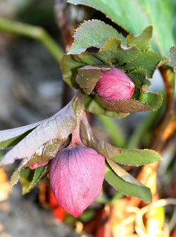 f0041606_20285091.jpg