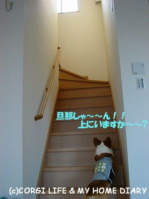 c0153410_12173542.jpg
