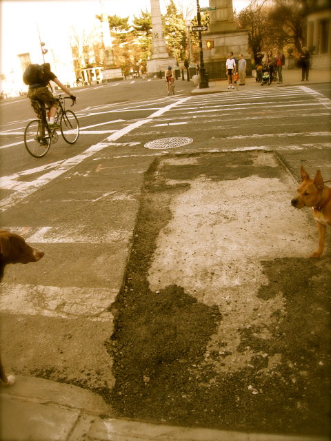 c0120817_11544867.jpg