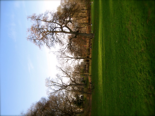 c0120817_124851.jpg