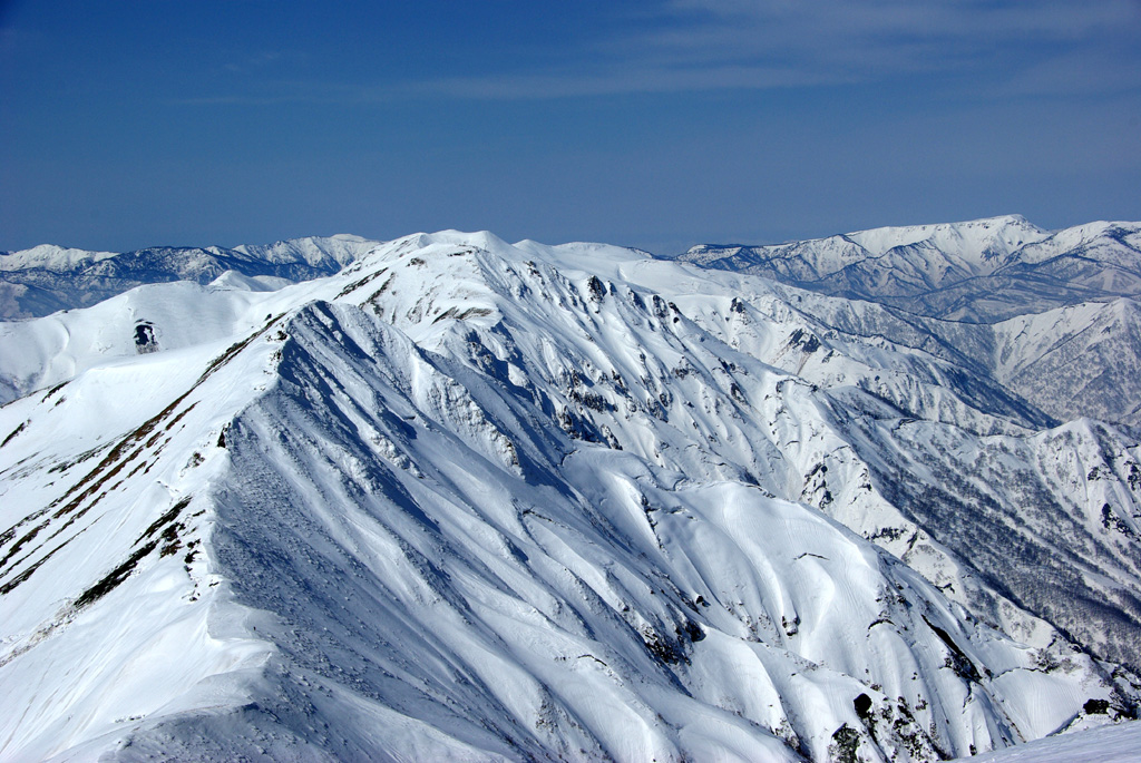b0062024_20129.jpg