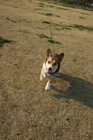 e0071225_1352594.jpg