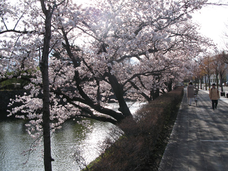 d0004426_19485847.jpg