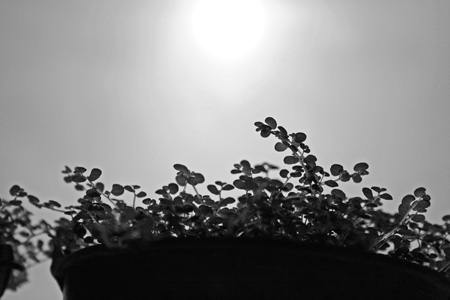 c0118928_5502295.jpg