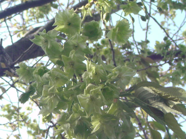 e0016828_17195393.jpg