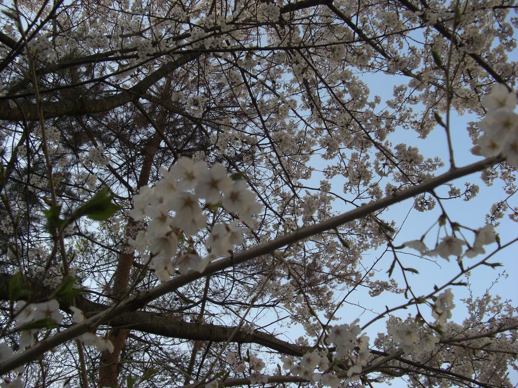 e0142430_23113331.jpg