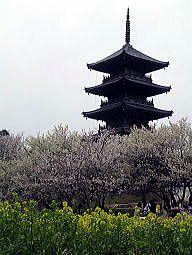 e0016836_12151785.jpg
