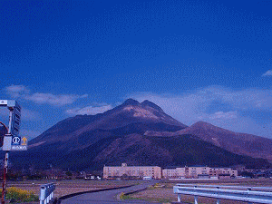 d0087639_21452734.gif