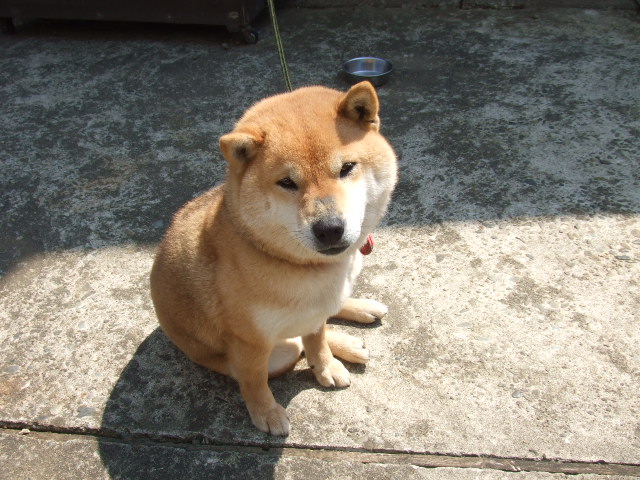 d0150739_2275735.jpg