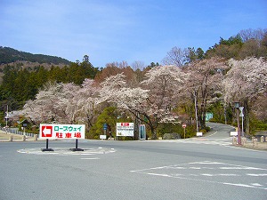 f0065941_2152179.jpg