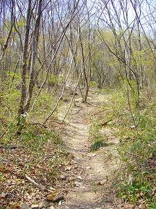 f0065941_21543565.jpg