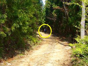 f0065941_2157853.jpg
