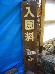 f0065941_22154517.jpg