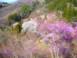 f0065941_22162861.jpg