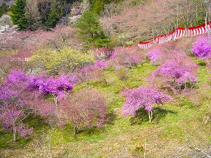 f0065941_2216569.jpg