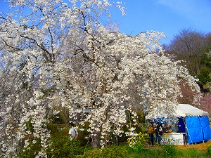 f0065941_22181576.jpg