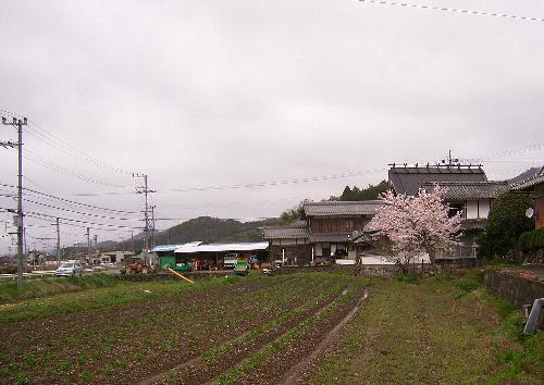 c0072843_7433664.jpg