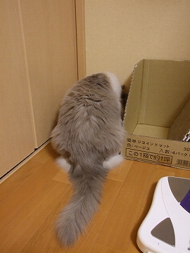 b0086450_21353176.jpg